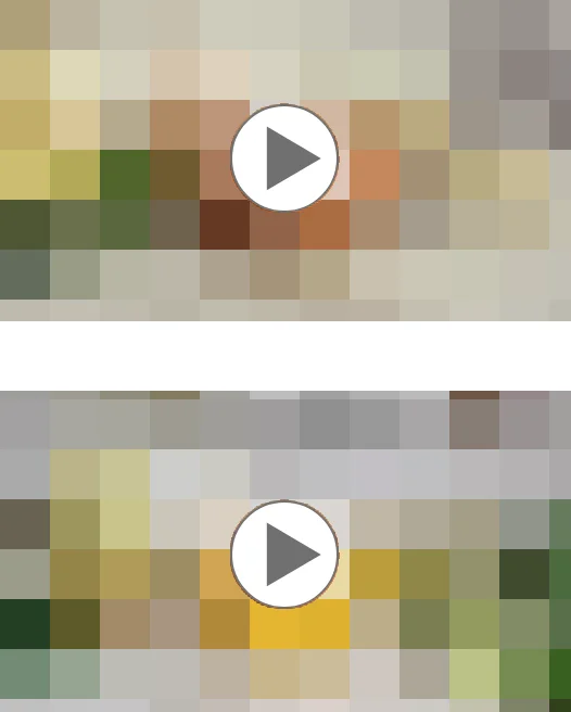 モザイク動画サンプル画像